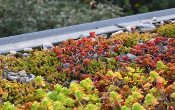 the cost of An Leth Meadhanach green roof installation