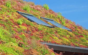 An Leth Meadhanach living roof systems